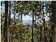 Upper Brookfield QLD 4069