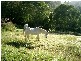 Upper Brookfield QLD 4069