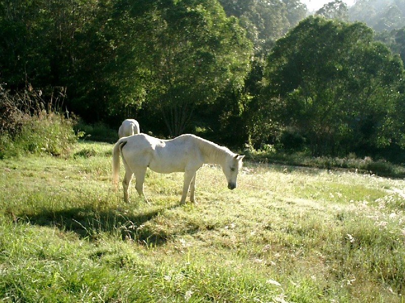 Upper Brookfield QLD 4069