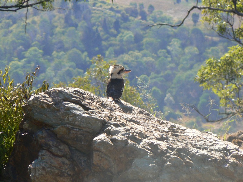 Upper Brookfield QLD 4069