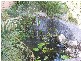 Chapel Hill QLD 4069