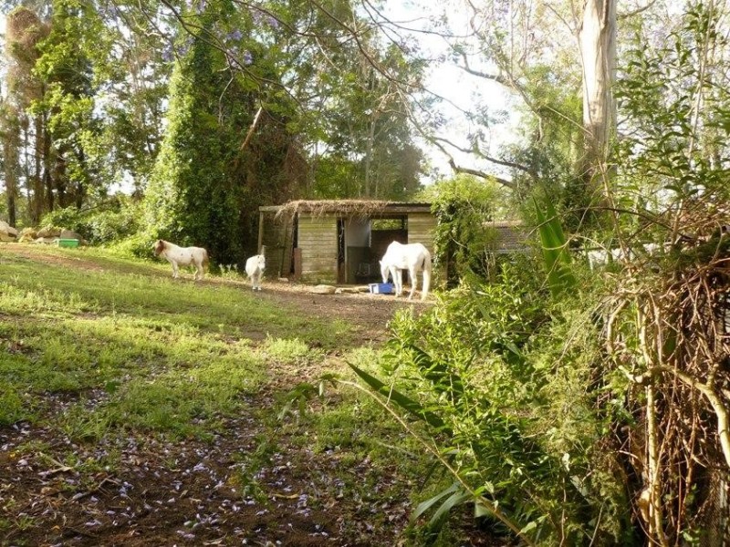Moggill QLD 4070