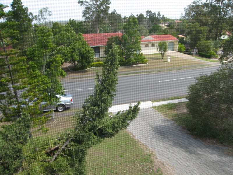 57 Limosa Street, Bellbowrie QLD 4070