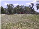 Moggill QLD 4070