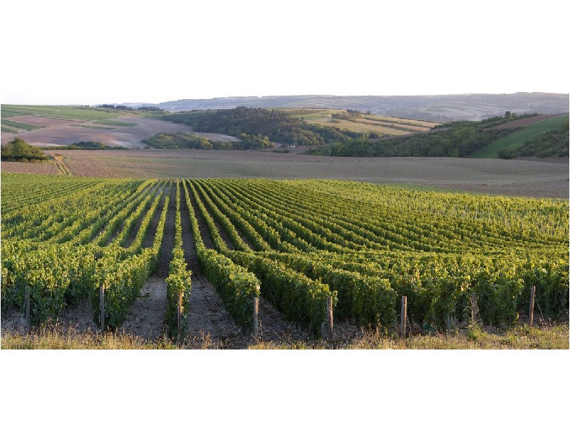 Lot 3 Caves Road, Wilyabrup WA 6280