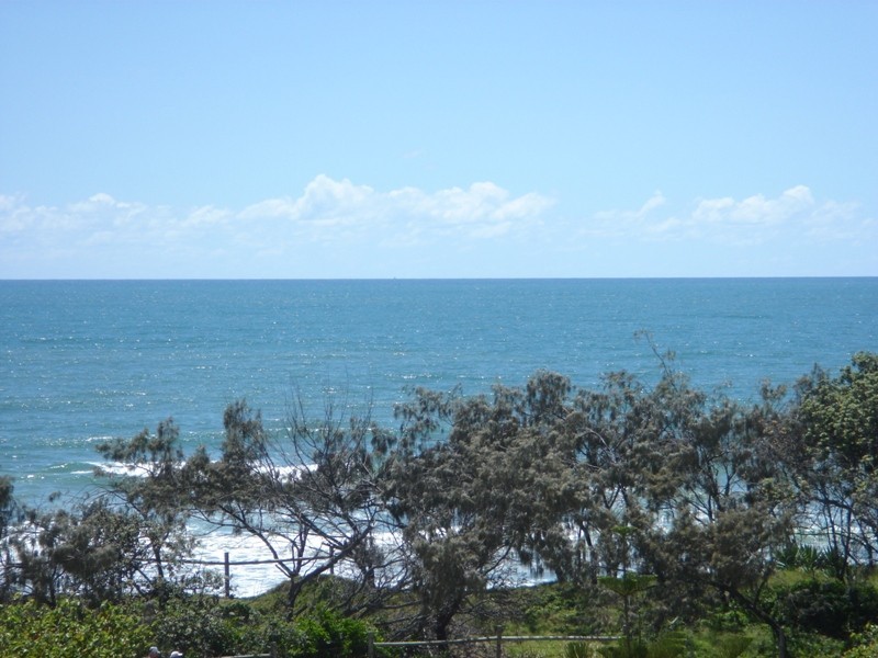 Alexandra Headland QLD 4572