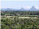 38 Mahogany Drive, Caloundra QLD 4551