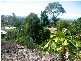 Buderim QLD 4556