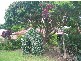 Buderim QLD 4556