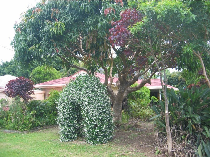 Buderim QLD 4556