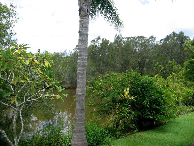 Diddillibah QLD 4559