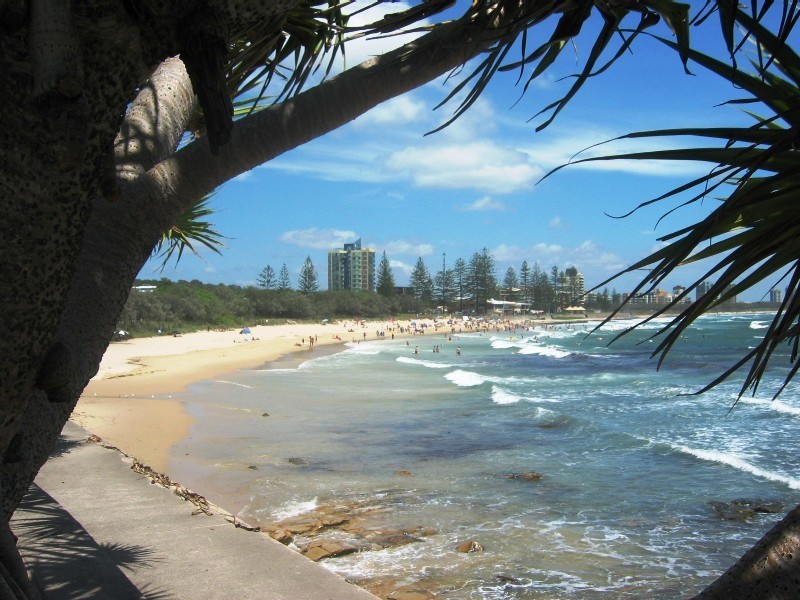 Alexandra Headland QLD 4572