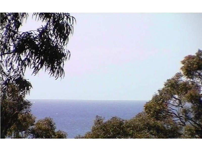 Alexandra Headland QLD 4572