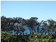 313/102 Alexandra Pde, Alexandra Headland QLD 4572