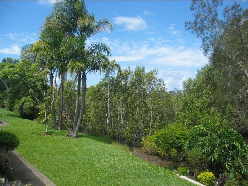 Diddillibah QLD 4559