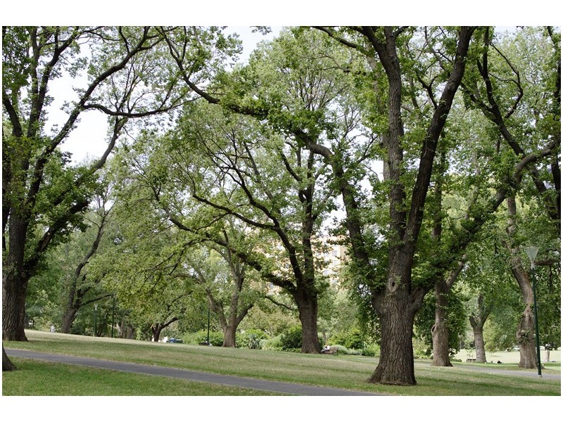 30/300 King St, Melbourne VIC 3000