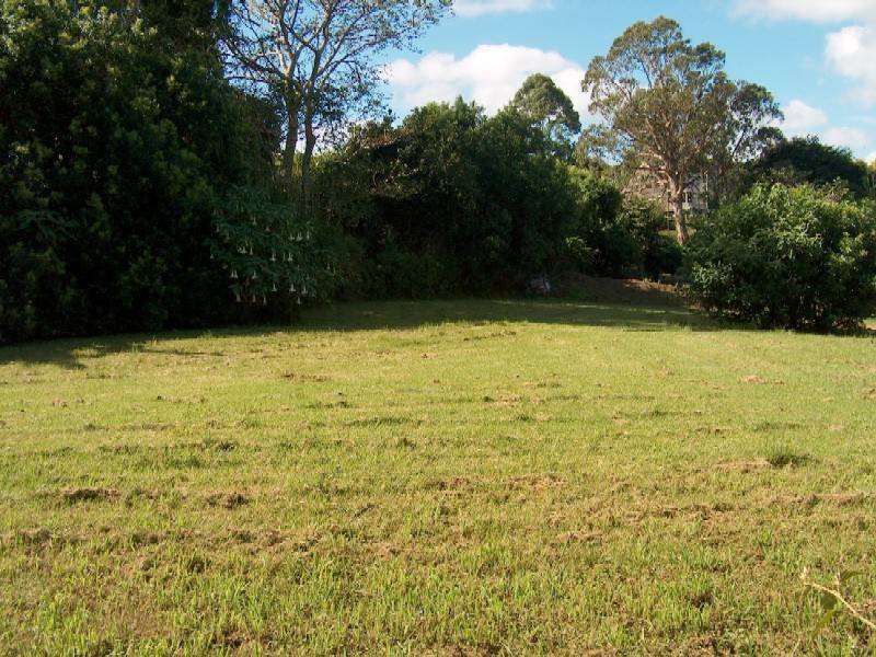 Lower Beechmont QLD 4211