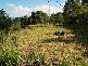 Lower Beechmont QLD 4211