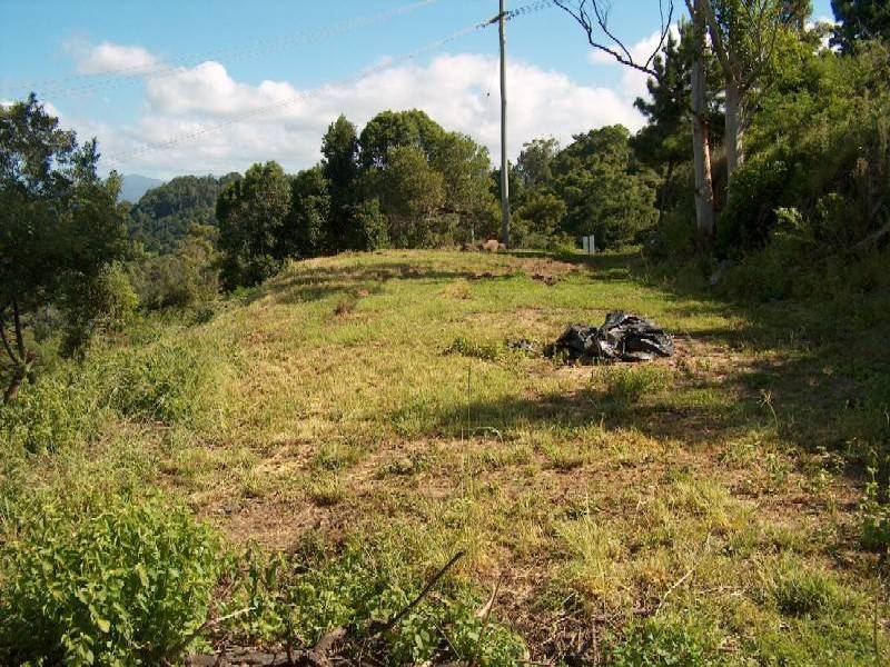 Lower Beechmont QLD 4211