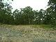 Nerang QLD 4211