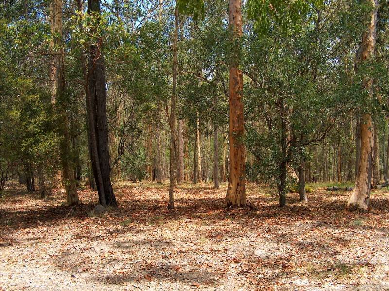 Gilston QLD 4211