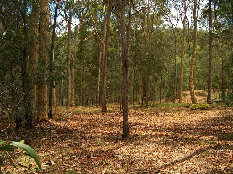 Gilston QLD 4211
