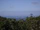 Lower Beechmont QLD 4211