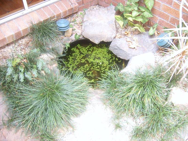 Highland Park QLD 4211