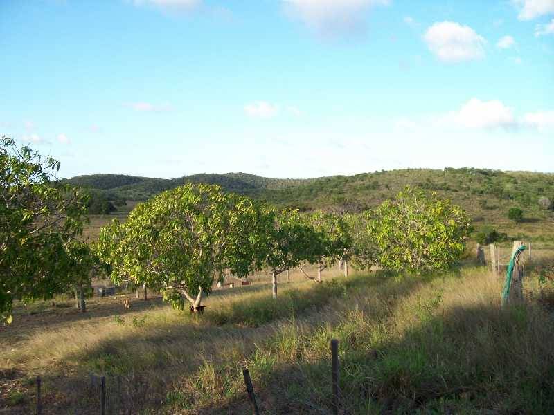 158 Darts Creek Road, Ambrose QLD 4695