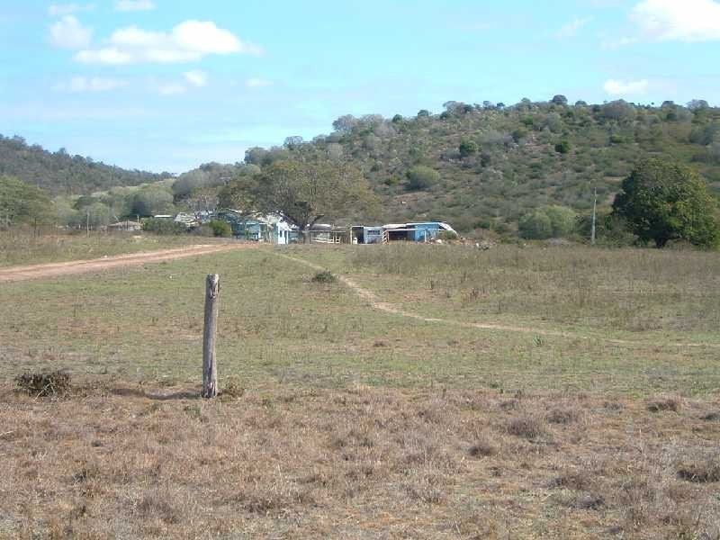 519 Ambrose-Bracewell Road, Gladstone QLD 4680