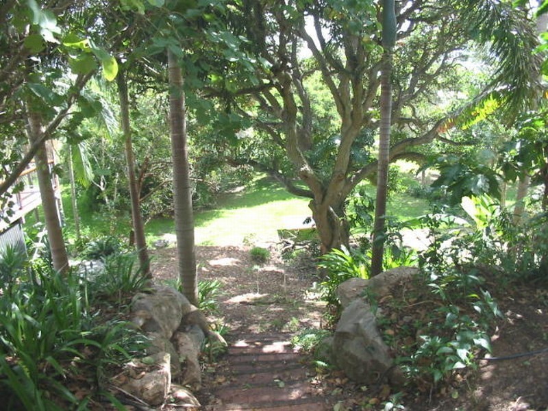 19 HOWIE STREET, Clayfield QLD 4011