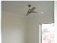 Clayfield QLD 4011