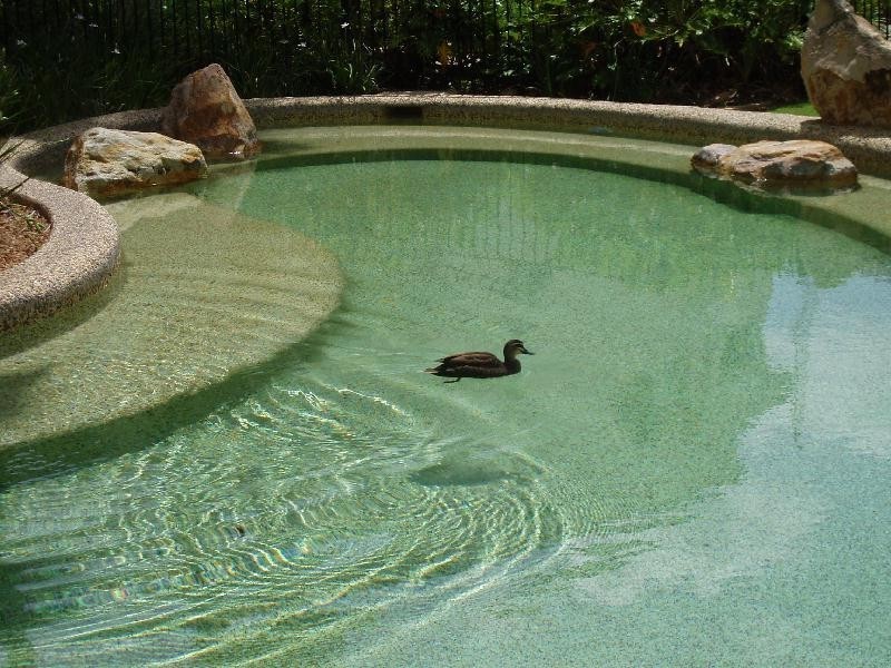 3019/56 WHARF STREET, Kangaroo Point QLD 4169