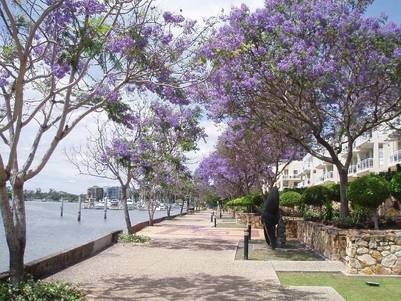 3019/56 WHARF STREET, Kangaroo Point QLD 4169