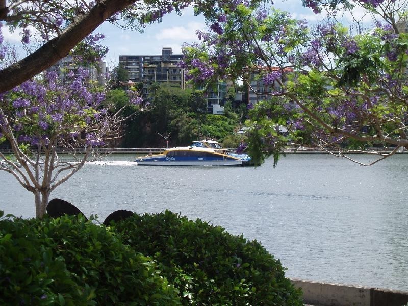 3019/56 WHARF STREET, Kangaroo Point QLD 4169