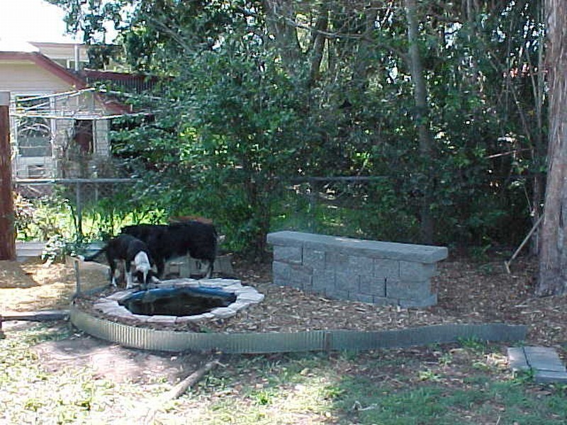 35 JUNIOR TERRACE, Northgate QLD 4013