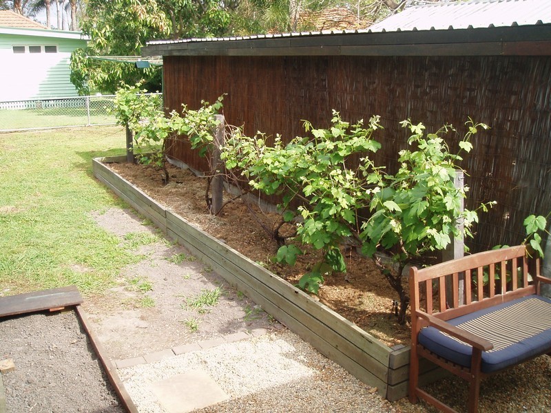 35 JUNIOR TERRACE, Northgate QLD 4013