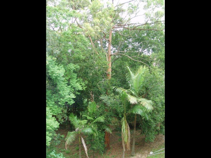 Stafford Heights QLD 4053