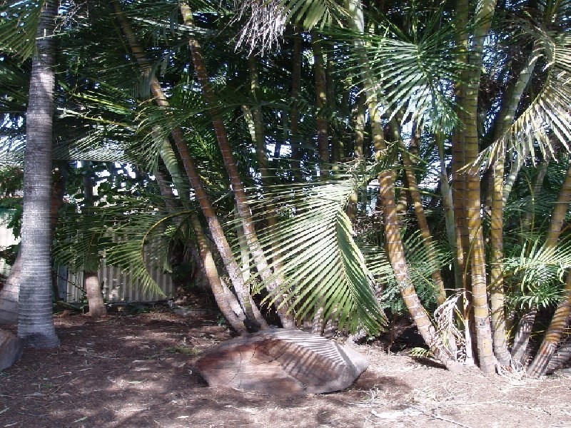 5 Whitfield Street, Virginia QLD 4014