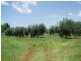 Mount Binga QLD 4306