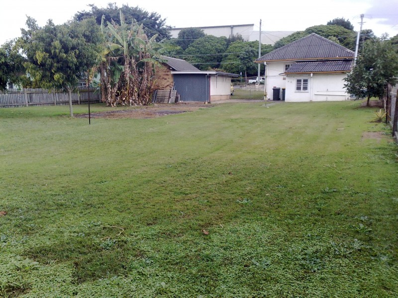 Tingalpa QLD 4173