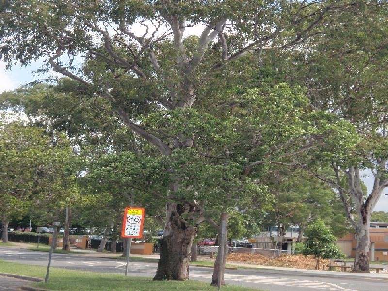 626 Zillmere Road, Aspley QLD 4034