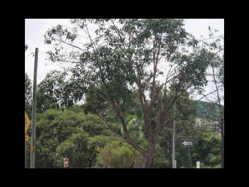 626 Zillmere Road, Aspley QLD 4034