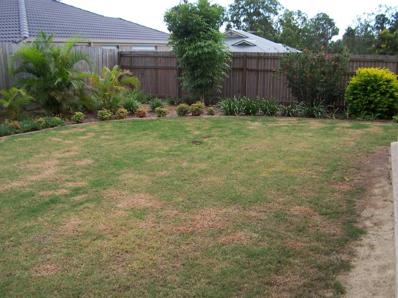 9 GREENWICH DRIVE, Bald Hills QLD 4036