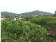 Fingal Bay NSW 2315
