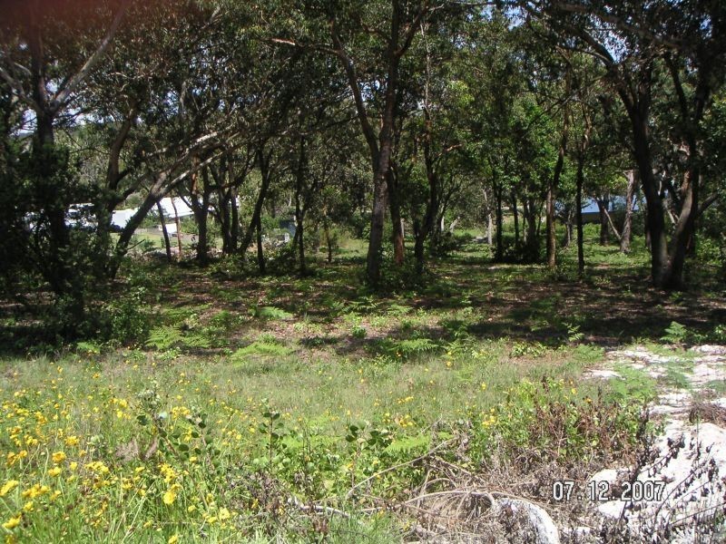 Boat Harbour NSW 2316