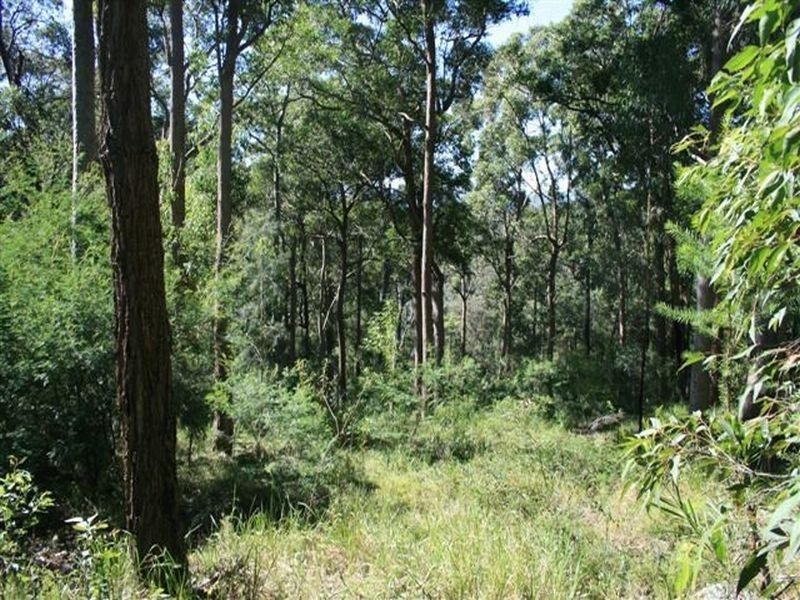 Duns Creek NSW 2321
