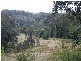 Duns Creek NSW 2321