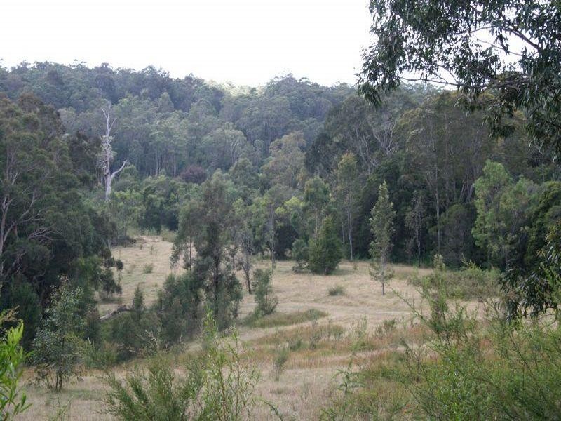Duns Creek NSW 2321