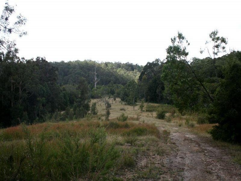 Duns Creek NSW 2321